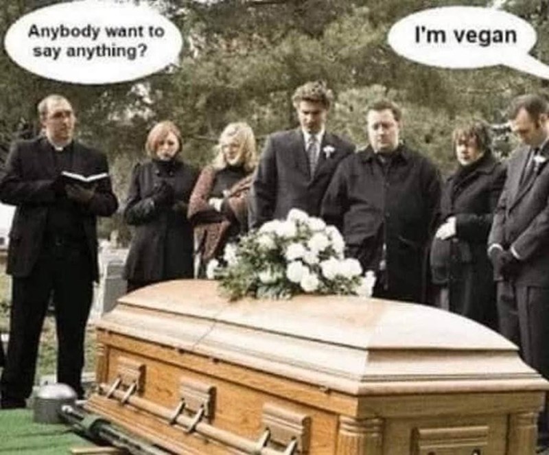 anybody-want-say-anything-vegan