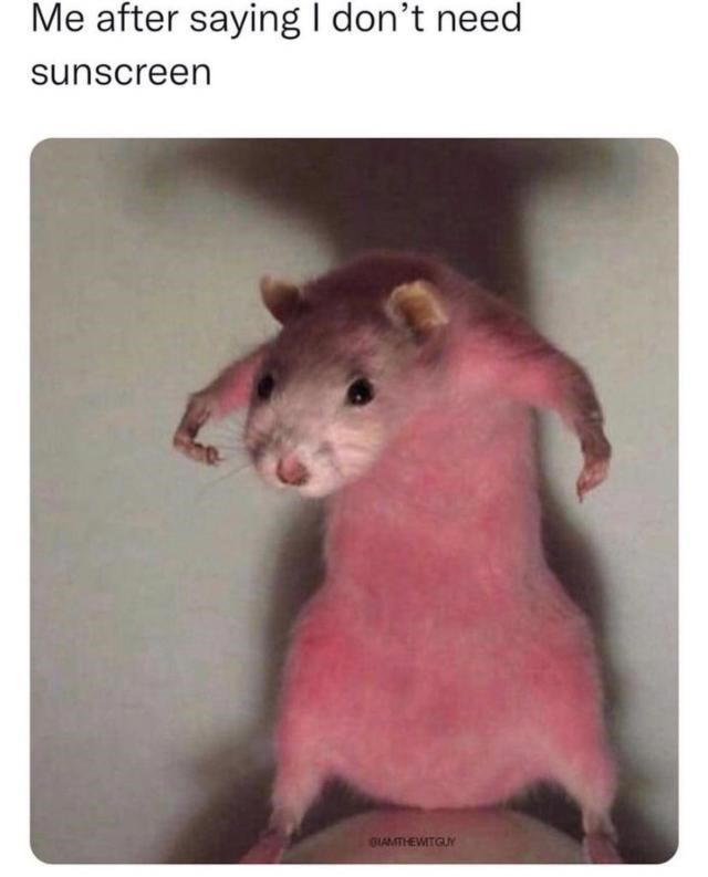 after-saying-dont-need-sunscreen-giamthewitguy