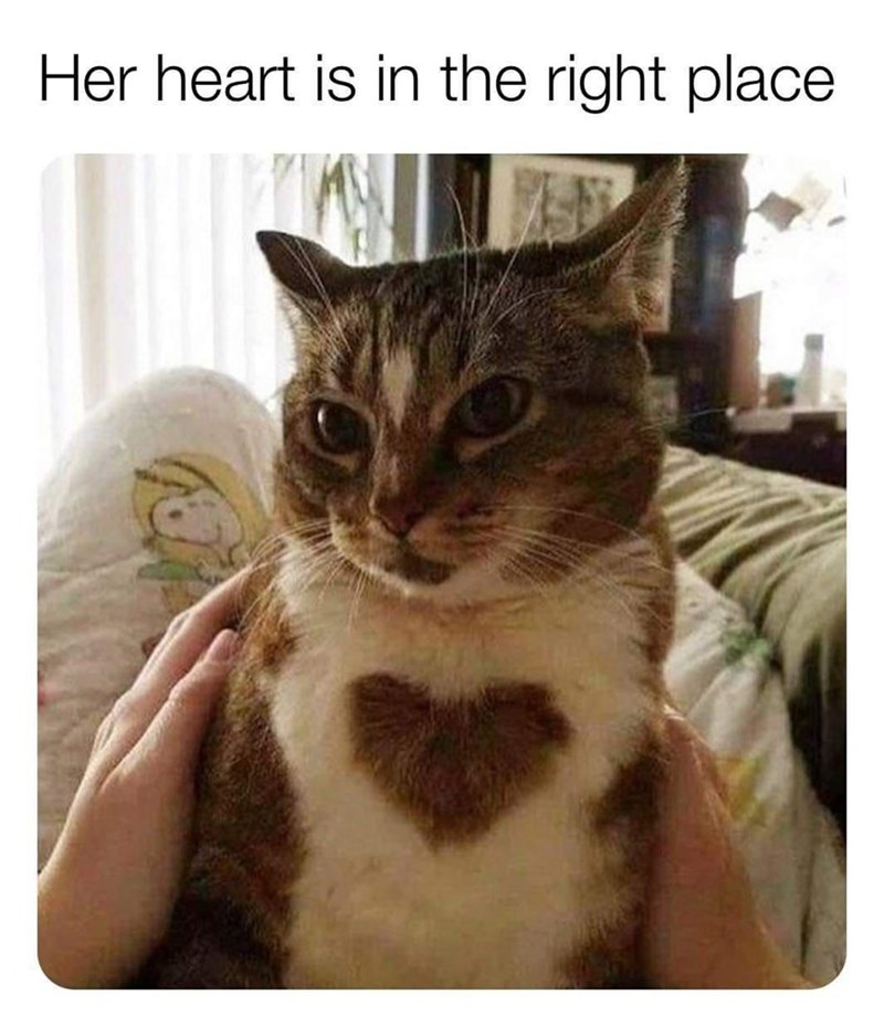 her-heart-is-right-place