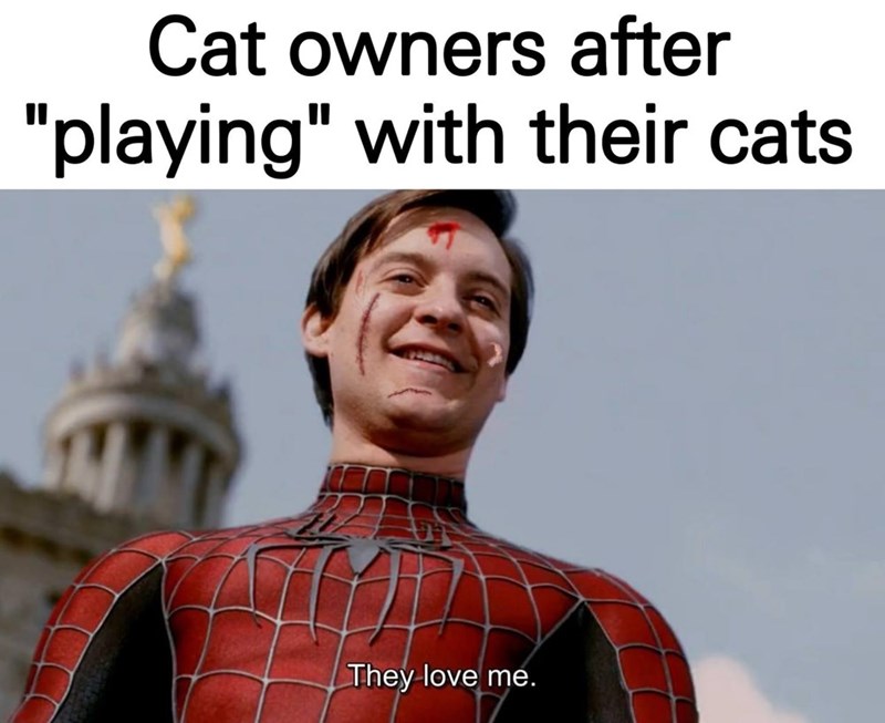 cat-owners-after-playing-with-their-cats-they-love