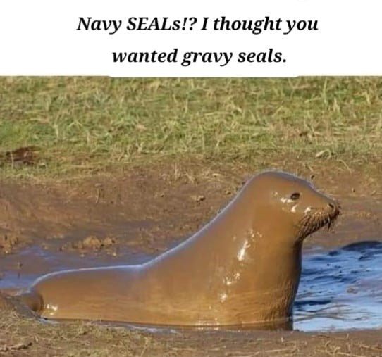 navy-seals-thought-wanted-gravy-seals