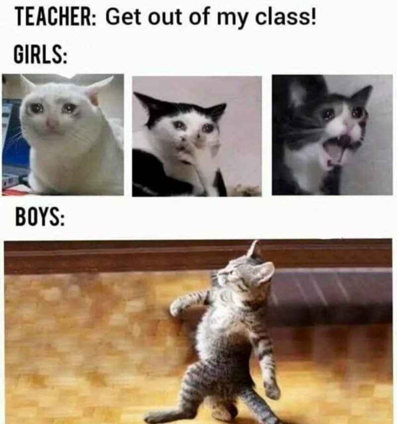 teacher-get-out-my-class-girls-boys