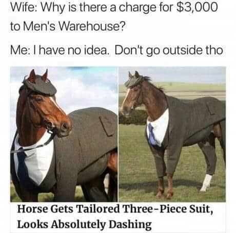 horsesuit.png