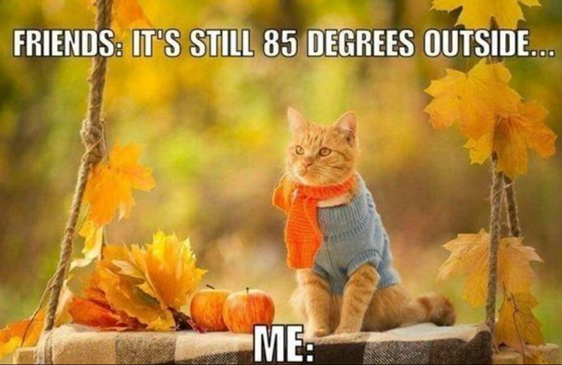 friends-s-still-85-degrees-outside