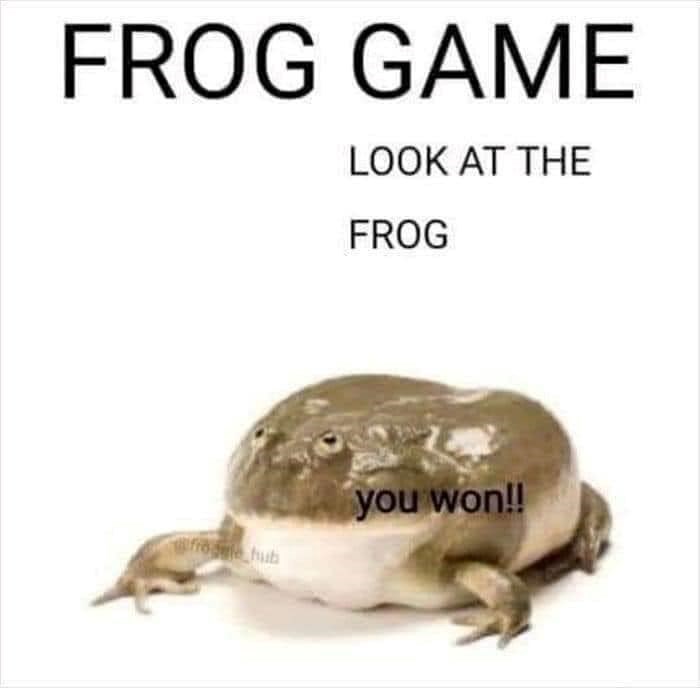 frog-game-look-at-frog-froje-hub-won