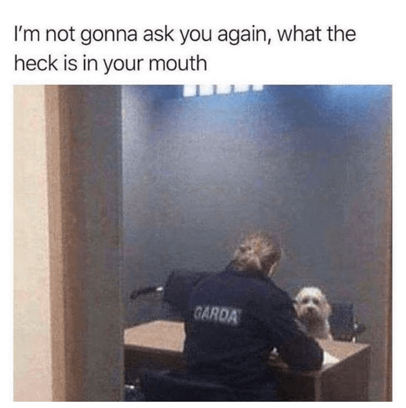 not-gonna-ask-again-heck-is-mouth-garda