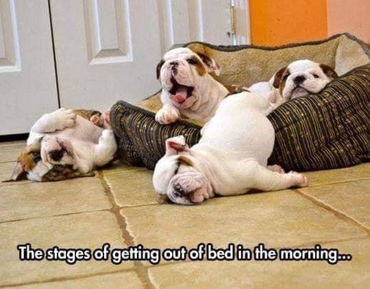 stages-getting-out-bed-morning