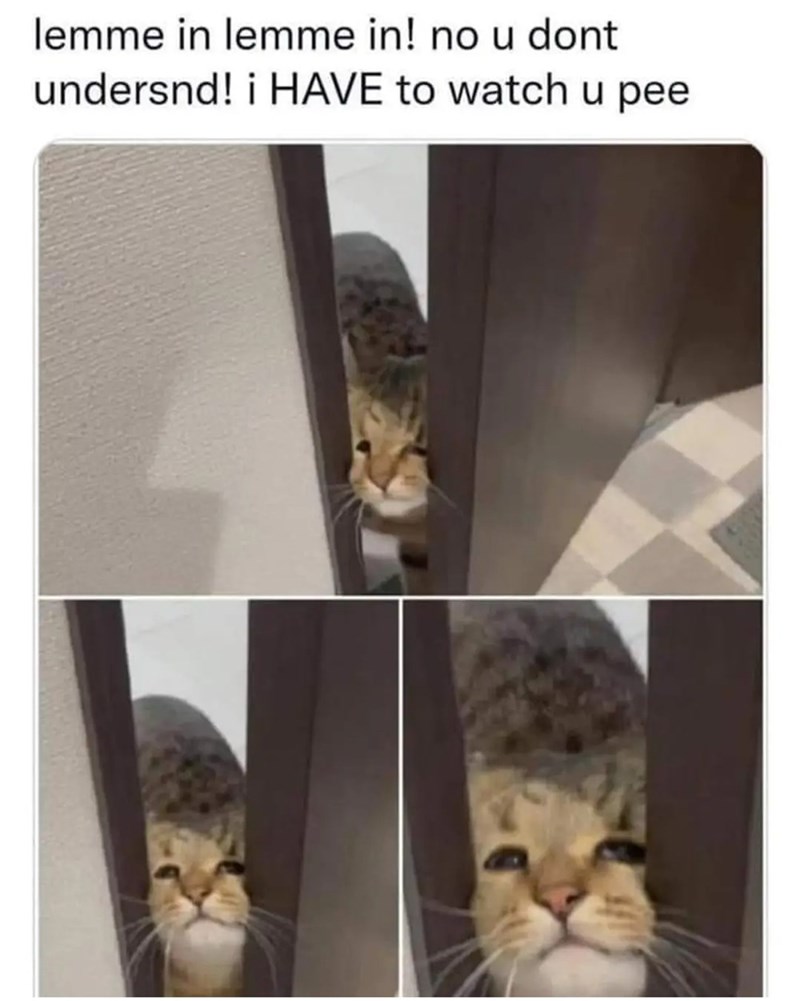 lemme-lemme-no-u-dont-undersnd-have-watch-u-pee