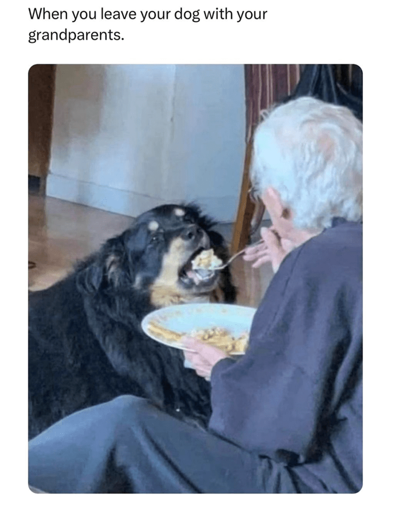 leave-dog-with-grandparents