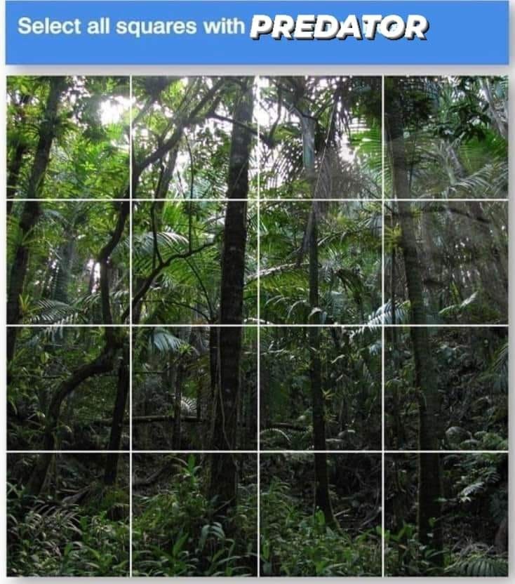 select-all-squares-with-predator