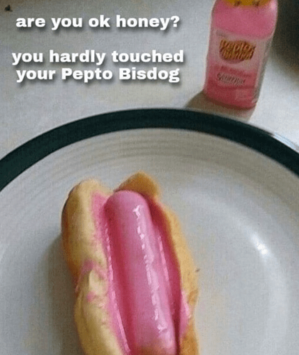 are-ok-honey-hardly-touched-pepto-bisdog