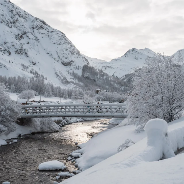 valdisere-00030215-640x640.webp