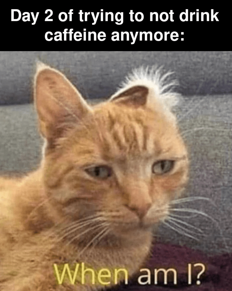 day-2-trying-not-drink-caffeine-anymore-am