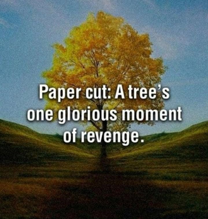 paper-cut-trees-one-glorious-moment-revenge