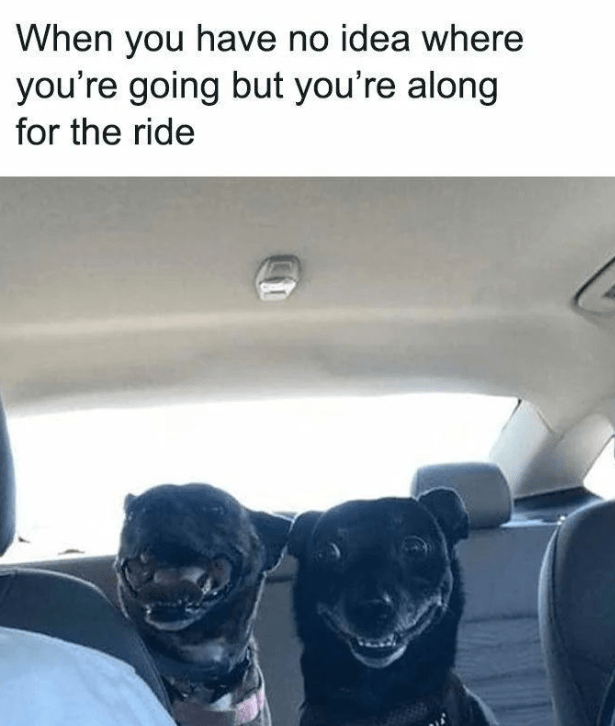 have-no-idea-where-going-but-along-ride