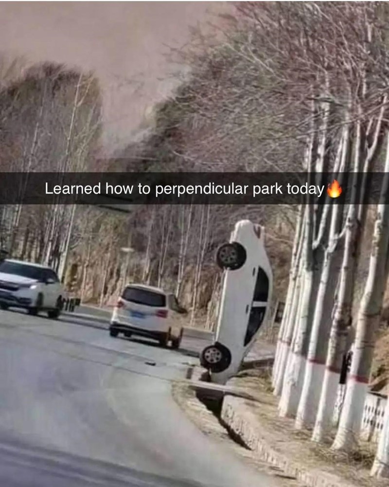 learned-perpendicular-park-today