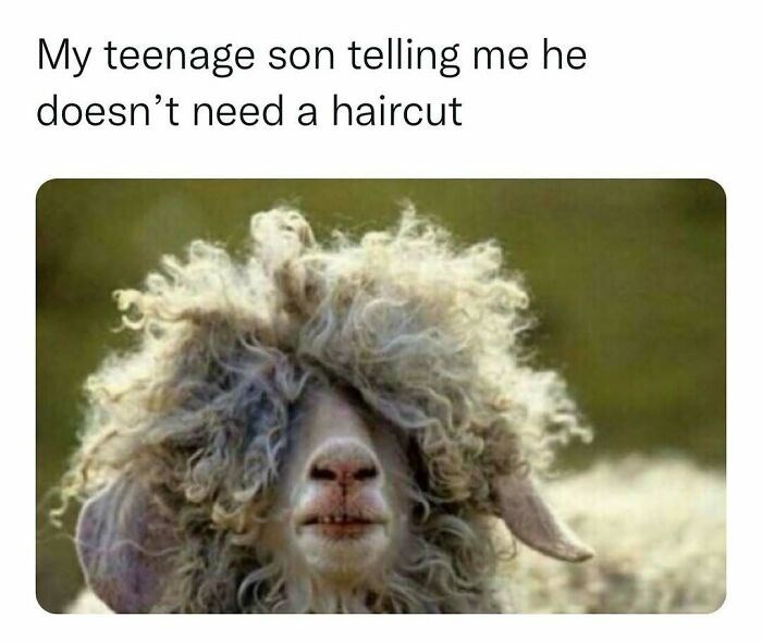 my-teenage-son-telling-he-doesnt-need-haircut