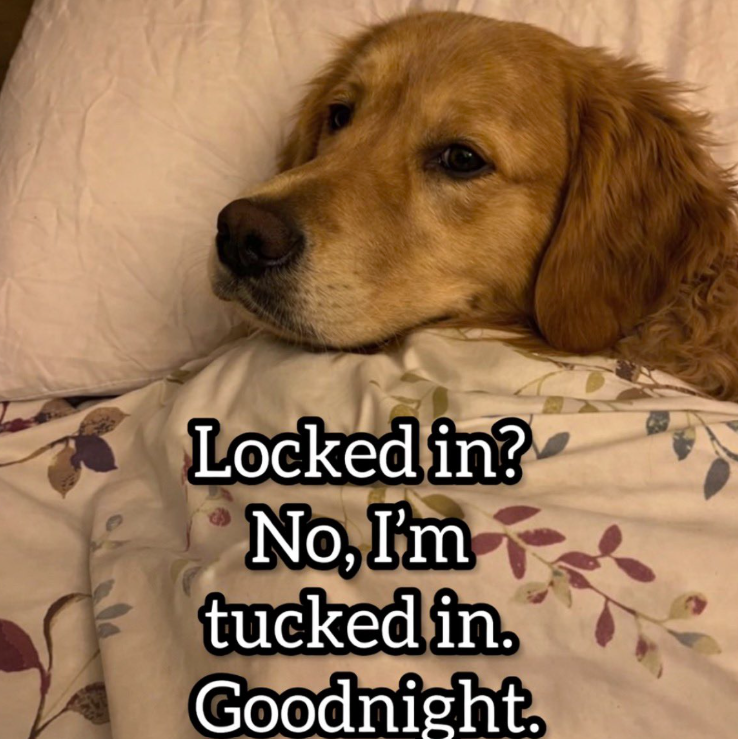 locked-no-tucked-goodnight