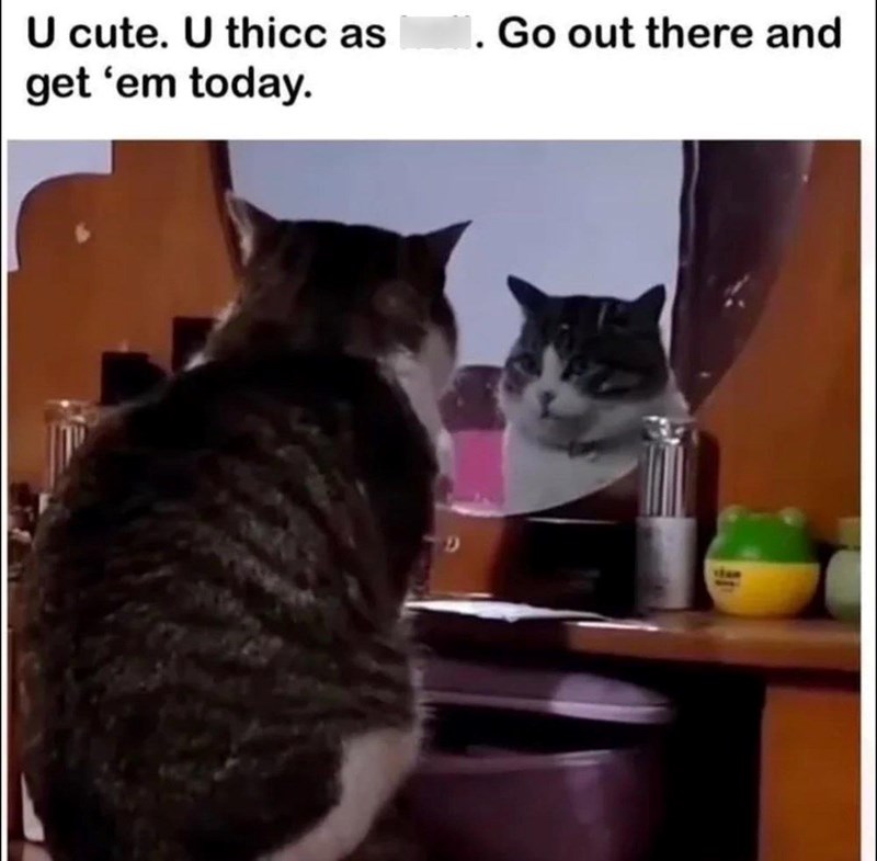 u-cute-u-thicc-as-get-em-today-1-go-out-there-and-9
