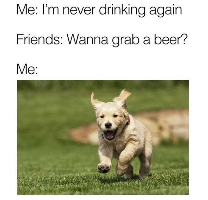 never-drinking-again-friends-wanna-grab-beer