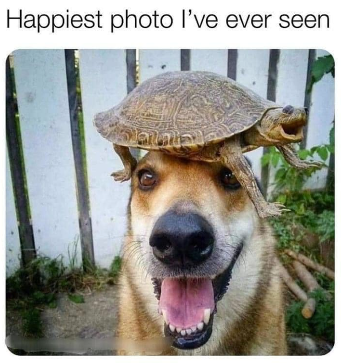 happiest-photo-ever-seen