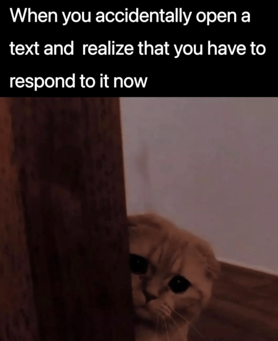 accidentally-open-text-and-realize-have-respond-now