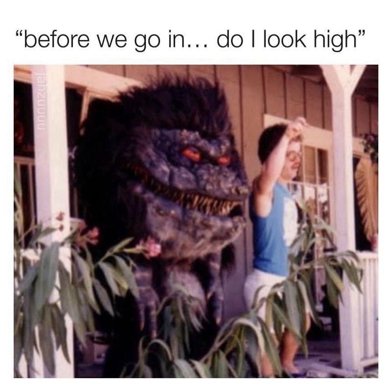 before-go-do-look-high-jahzuuuu