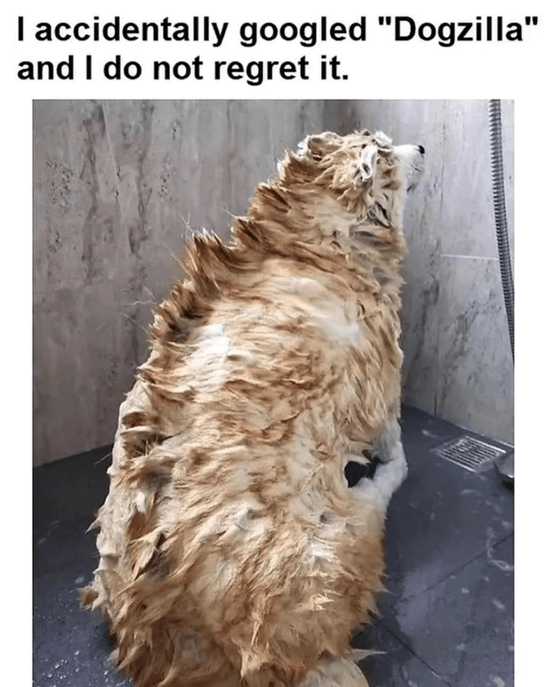 accidentally-googled-dogzilla-and-do-not-regret