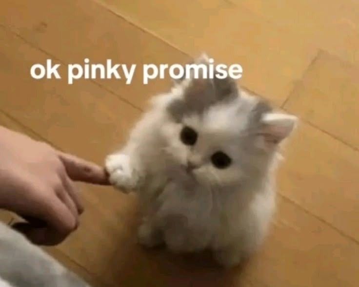 ok-pinky-promise