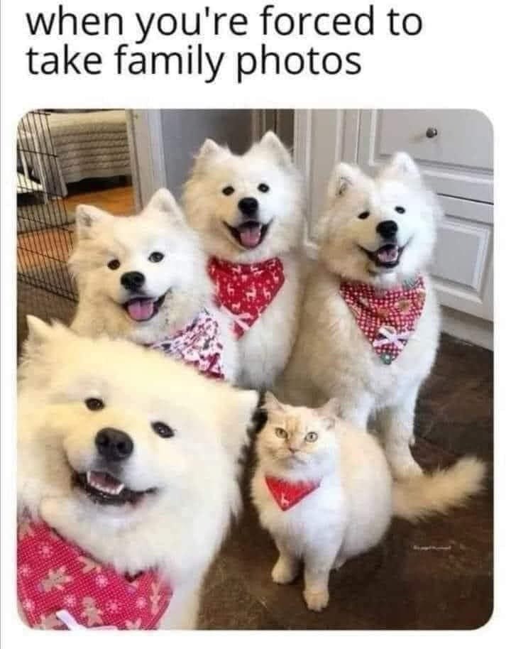 forced-take-family-photos