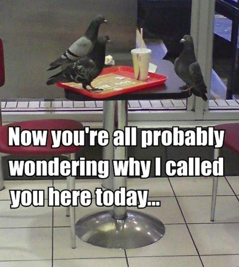 now-all-probably-wondering-why-called-here-today