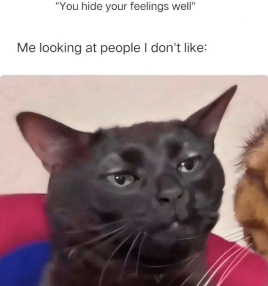 hide-feelings-well-looking-at-people-dont-like