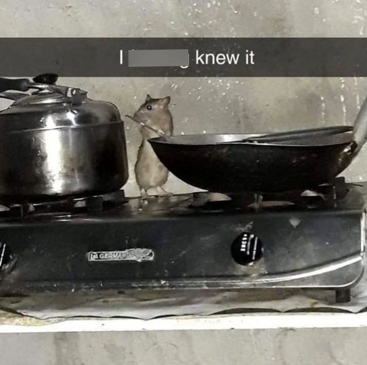 fucking-knew-gervan-d