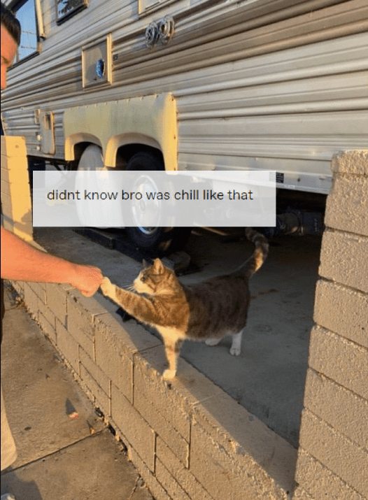 didnt-know-bro-chill-like