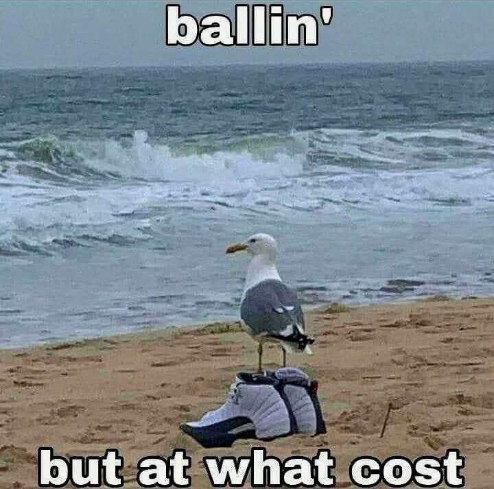 ballin-but-at-cost