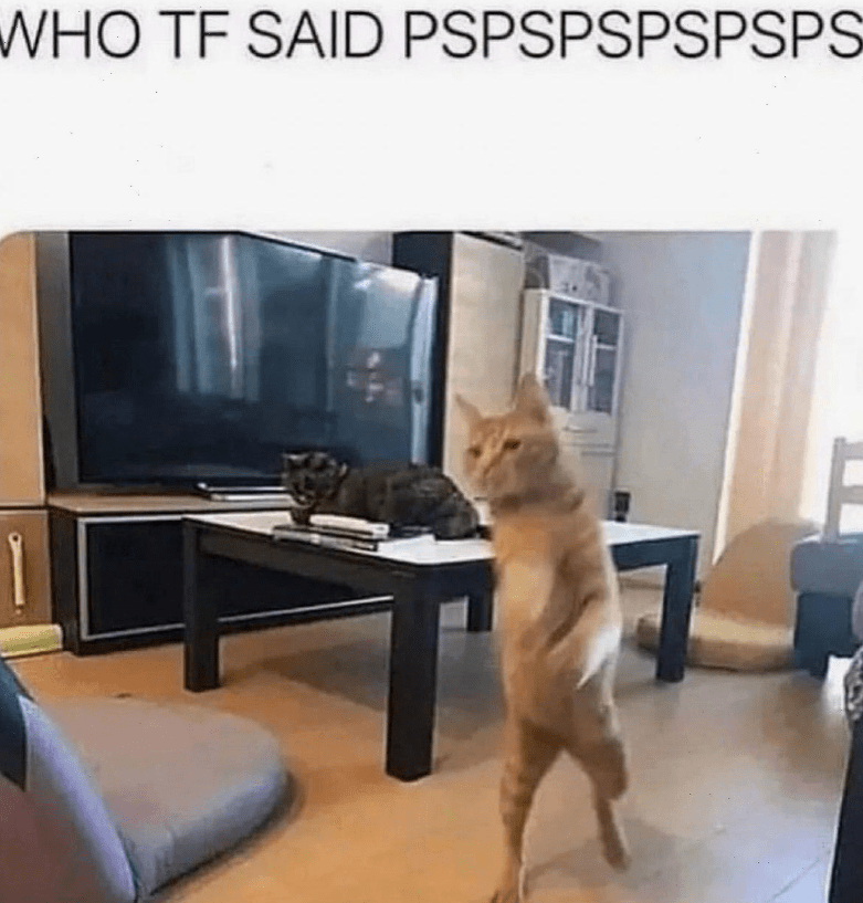 who-tf-said-pspspspspsps