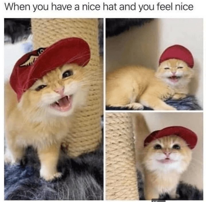 have-nice-hat-and-feel-nice-ot