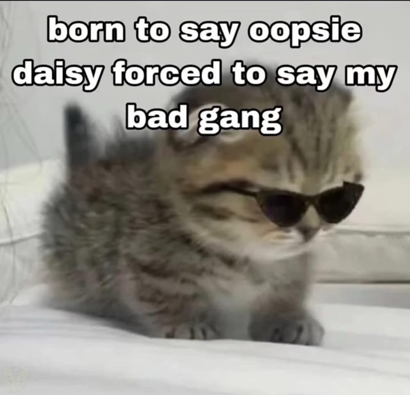 born-say-oopsie-daisy-forced-say-my-bad-gang