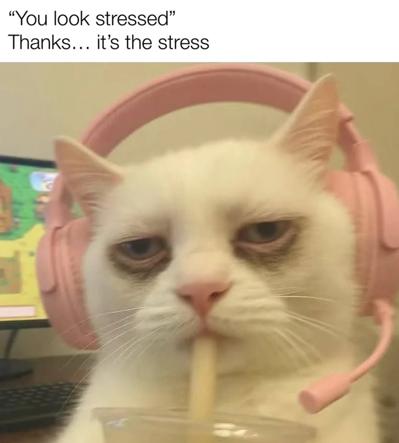 look-stressed-thanks-s-stress