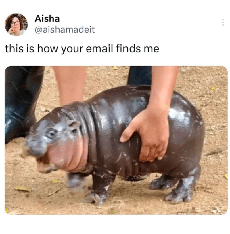 aisha-aishamadeit-this-is-email-finds