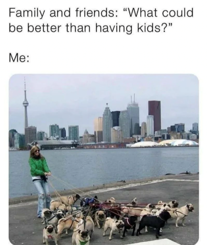 family-and-friends-could-be-better-than-having-kids