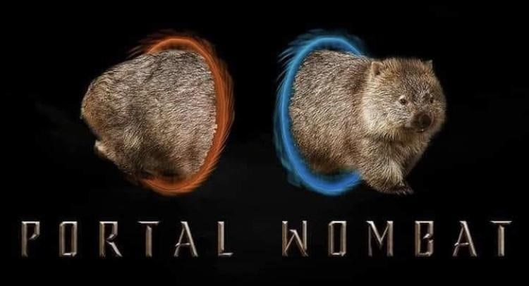 portal-wombat