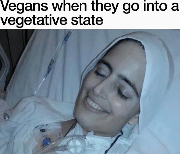 vegans-they-go-into-vegetative-state