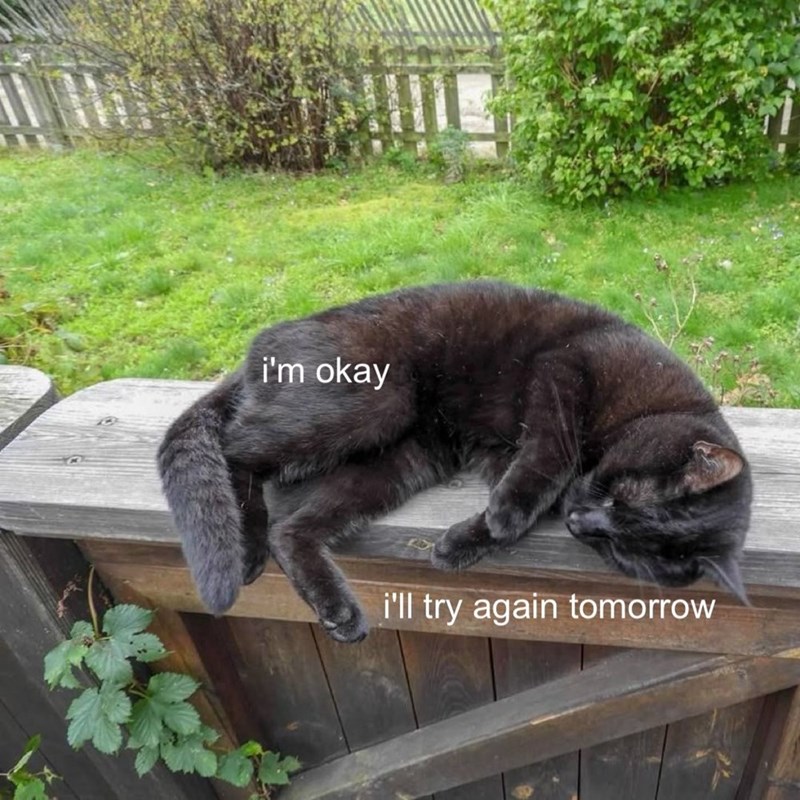 okay-try-again-tomorrow