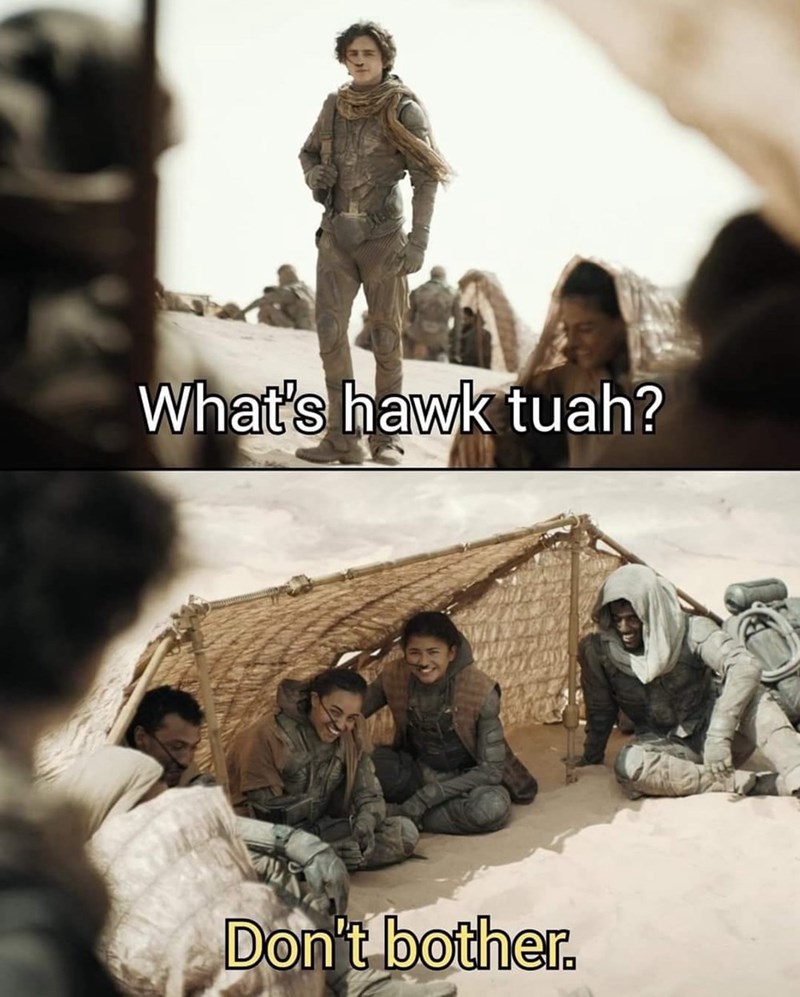 s-hawk-tuah-dont-bother