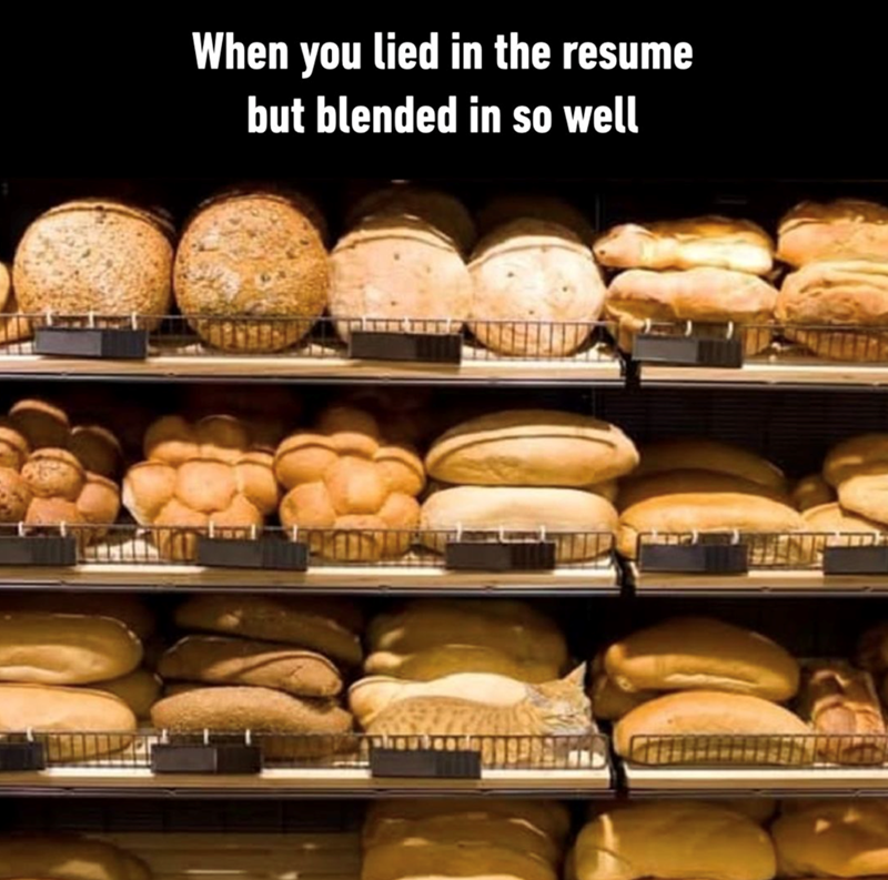 lied-resume-but-blended-so-well