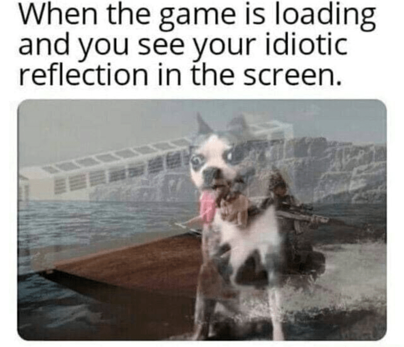 game-is-loading-and-see-idiotic-reflection-screen