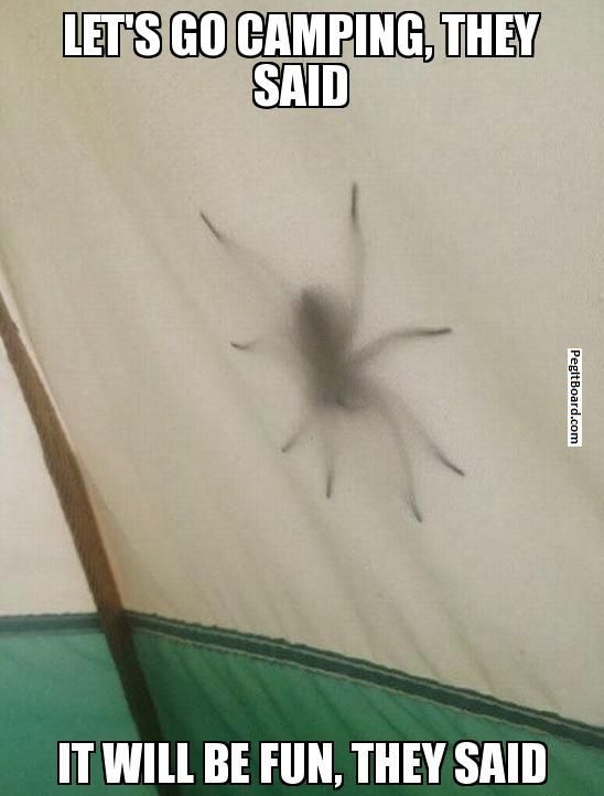 19ccb34f13931ee75efd606dc9722023--tent-camping-funny-camping.jpg