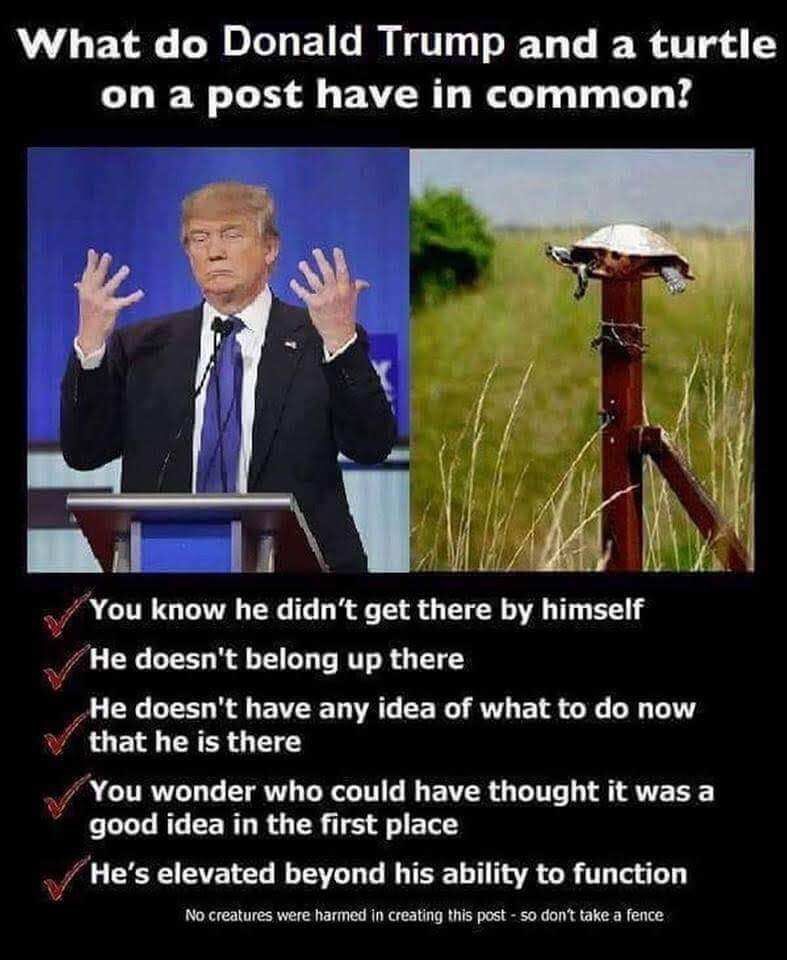 197371-DBqnh3ZUQAAbcr8.jpg:large