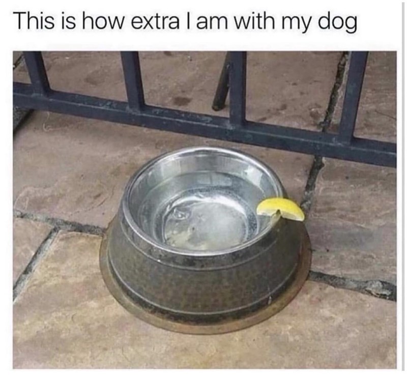 this-is-extra-am-with-my-dog